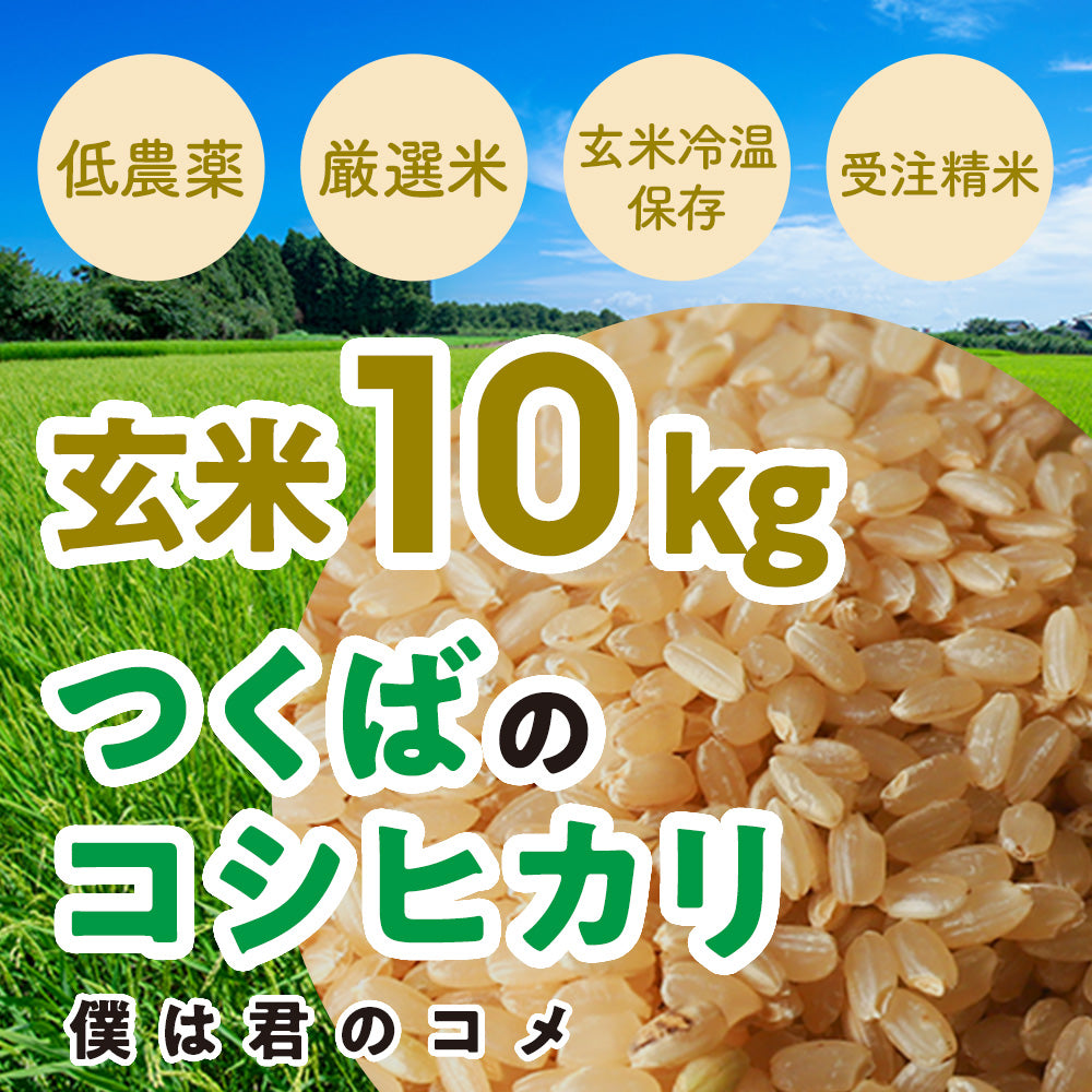 玄米10kg】2024年新米 農家直送つくばの低農薬コシヒカリ「僕は君のコメ」 – いばらきいいもん商店