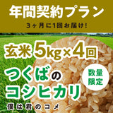 年間契約プラン【2025年新米】【玄米5kg×4回（計20kg）】農家直送つくばの低農薬コシヒカリ「僕は君のコメ」（8月末までの申し込み限定・数量限定）