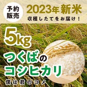 【2023年新米】送料無料【5kg】農家直送つくばの低農薬コシヒカリ「僕は君のコメ」（10月上旬発送）