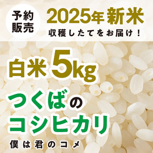 【2025年新米】【白米5kg】農家直送つくばの低農薬コシヒカリ「僕は君のコメ」（9月下旬から順次発送）