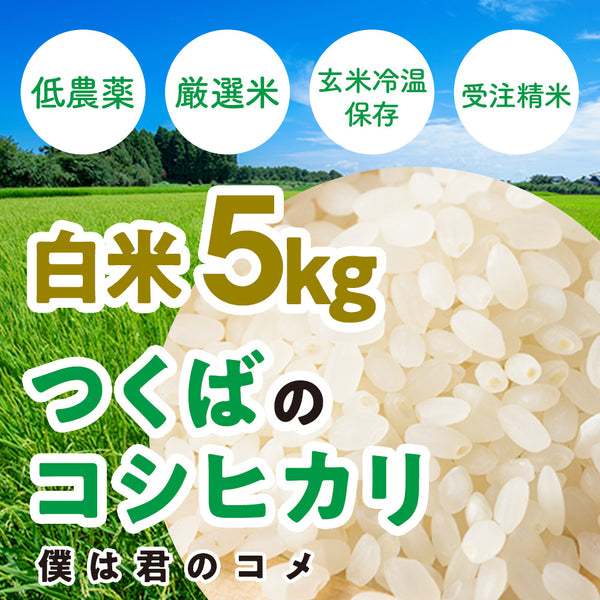 白米5kg】2024年新米 農家直送つくばの低農薬コシヒカリ「僕は君のコメ  