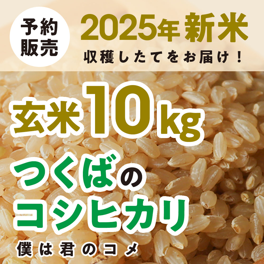 ☆農家直送玄米☆2024年10kg 玄米10kg】2024年新米 農家直送つくばの低農薬コシヒカリ「僕は