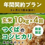 年間契約プラン【2025年新米】【玄米10kg×4回（計40kg）】農家直送つくばの低農薬コシヒカリ「僕は君のコメ」（8月末までの申し込み限定・数量限定）