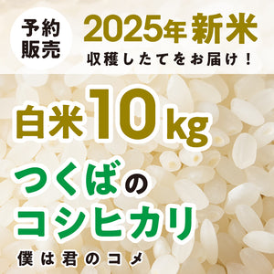 【2025年新米】【白米10kg】農家直送つくばの低農薬コシヒカリ「僕は君のコメ」（9月下旬から順次発送）