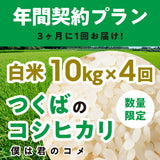 年間契約プラン【2025年新米】【白米10kg×4回（計40kg）】農家直送つくばの低農薬コシヒカリ「僕は君のコメ」（8月末までの申し込み限定・数量限定）