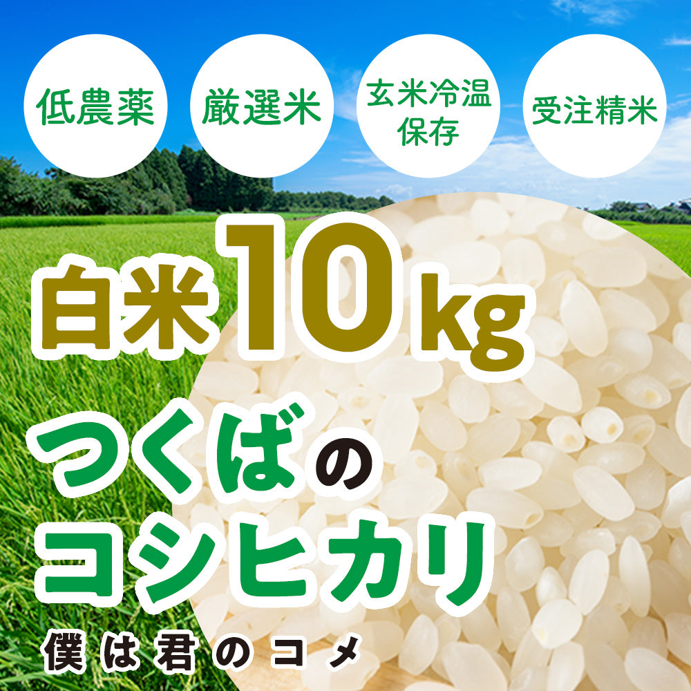 【白米20kg】2024年新米 農家直送つくばの低農薬コシヒカリ「僕は君のコメ」 – いばらきいいもん商店