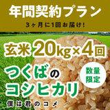年間契約プラン【2025年新米】【玄米20kg×4回（計80kg）】農家直送つくばの低農薬コシヒカリ「僕は君のコメ」（8月末までの申し込み限定・数量限定）