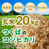 【玄米20kg】2024年新米 農家直送つくばの低農薬コシヒカリ「僕は君のコメ」