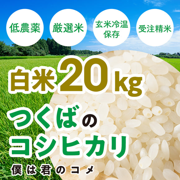 【白米20kg】2024年新米 農家直送つくばの低農薬コシヒカリ「僕は君のコメ」