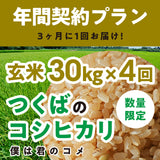 年間契約プラン【2025年新米】【玄米30kg×4回（計120kg）】農家直送つくばの低農薬コシヒカリ「僕は君のコメ」（8月末までの申し込み限定・数量限定）