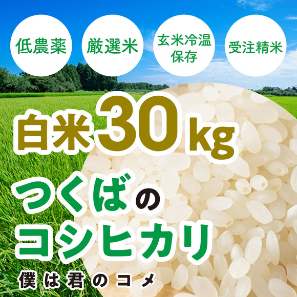 【白米30kg】2024年新米 農家直送つくばの低農薬コシヒカリ「僕は君のコメ」