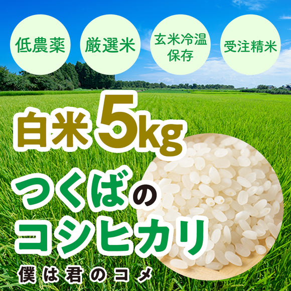 美味しい【令和3年産】長野県コシヒカリ20キロ白米