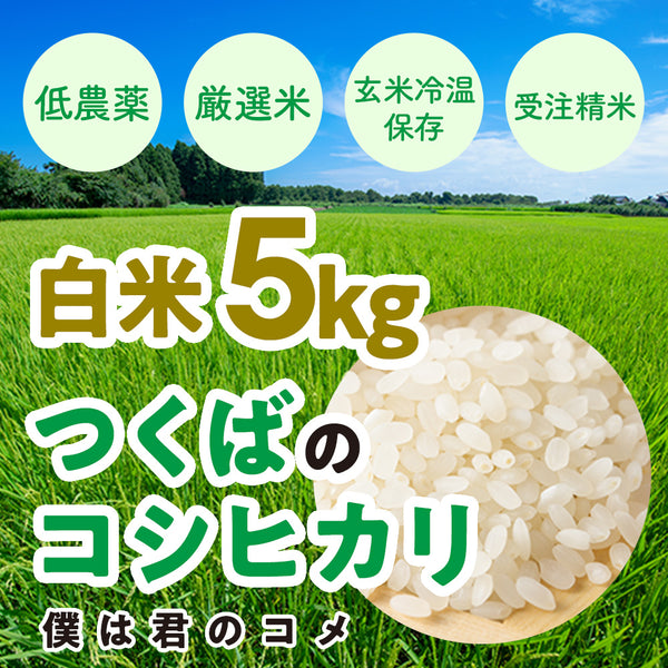 送料無料【白米5kg】2023年新米 農家直送つくばの低農薬コシヒカリ「僕は君のコメ」