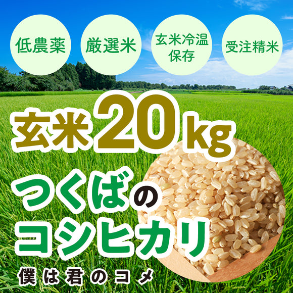 コシヒカリ  玄米　20㎏食品/飲料/酒
