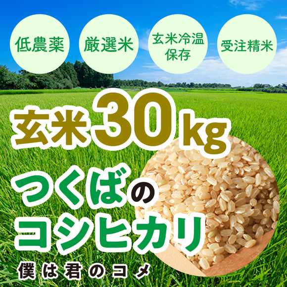 コシヒカリ玄米 30キロ食品